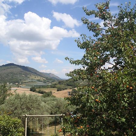 Les Chevrefeuilles Daire Manosque Dış mekan fotoğraf