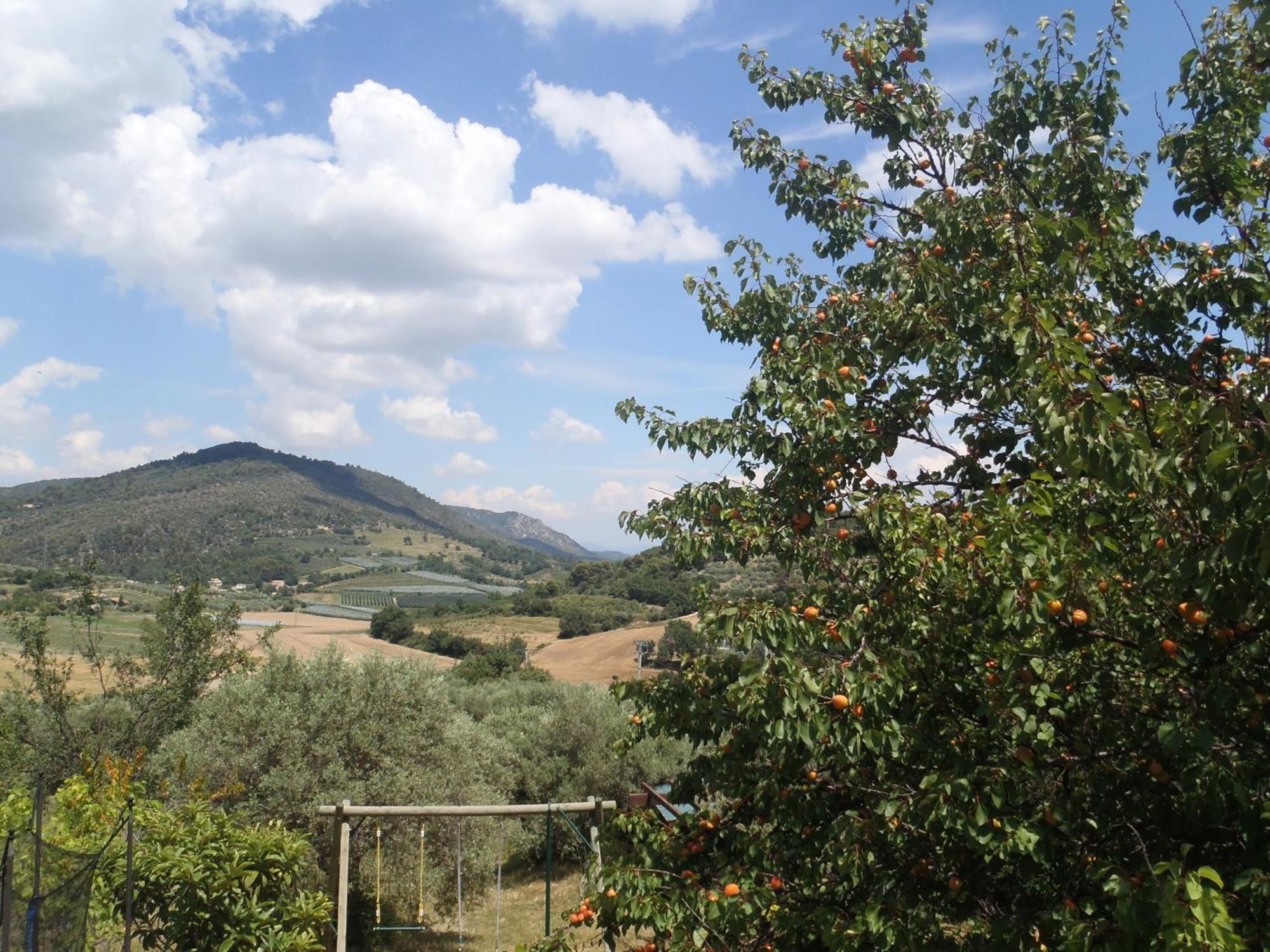 Les Chevrefeuilles Daire Manosque Dış mekan fotoğraf