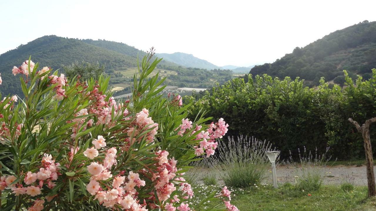 Les Chevrefeuilles Daire Manosque Dış mekan fotoğraf